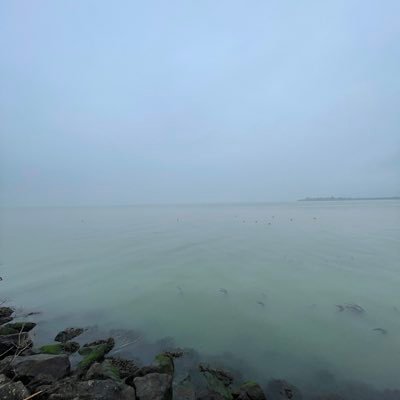 fanshen74's profile picture. 