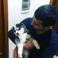 Yaşar (@yasarbarbaros5) Twitter profile photo