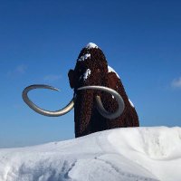 Horicon Marsh (@horicon_marsh) 's Twitter Profile