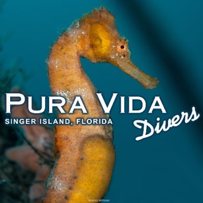 Pura Vida Divers is a family-owned and operated full-service PADI IDC Dive Shop. We offer daily Dive Charters, Classes and more!