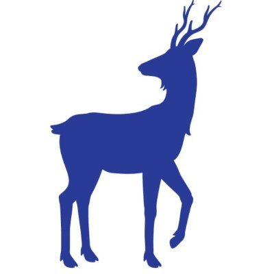 commondeerpress Profile Picture