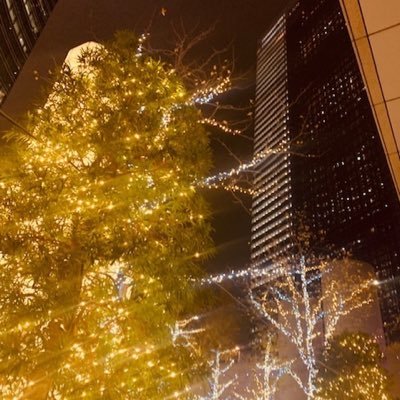 Winter963_0222's profile picture. 