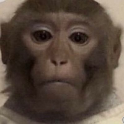 AspireUnitl's profile picture. Racist Team!