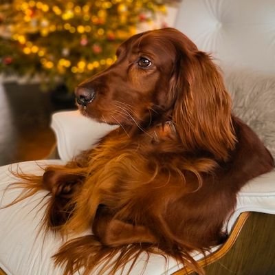 BukowskyIn's profile picture. I never met another man I'd rather be.