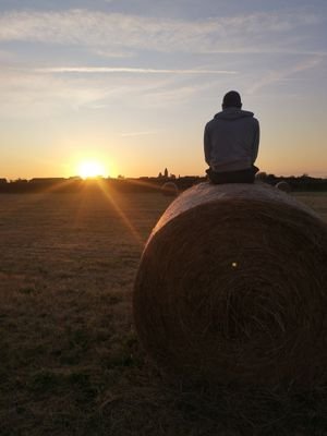 Ze_73_Octopus's profile picture. 