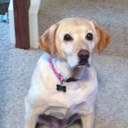 Robin Kirkland - @123hdRk - Twitter