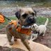 Basil the BT CBE (@bt_basil) Twitter profile photo Basil the BT CBE (@bt_basil) Twitter profile photo