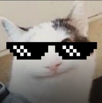 I'm a famous cat from YouTube. new to the Fpl twitter community