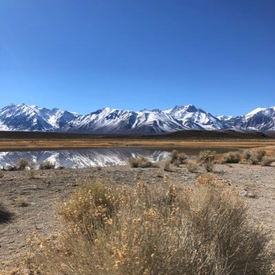 Lyva19681's profile picture. Ex LR 🌿 désormais Reconquête🌿 🇫🇷sociale -Democrate a la mode Danoise😉  💯/💯 # UNIONdesDROITEs