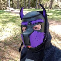 Snow Pup ❄️ (@kinkypupsnow) 's Twitter Profile Photo