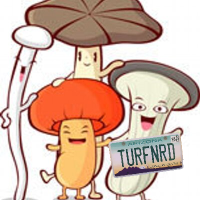 gabetowers's profile picture. Socially awkward turf pathology nerd. Optimist. Vigilant spellchekcer. Wilbur-Ellis Pro Markets. Views are my own.