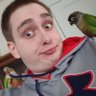 jaredgoget's profile picture. Just a guy with birds who likes to trade.