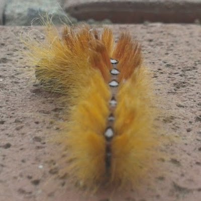 Sarppa95743337's profile picture. 