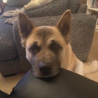 Kenneth Knox (@kenneth70836989) 's Twitter Profile