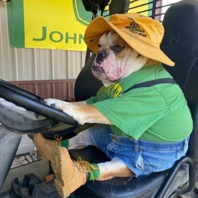 byrd_adella's profile picture. 