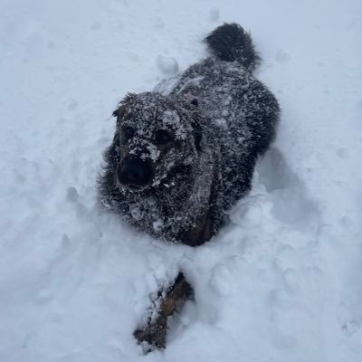 DewdropBrewing's profile picture. 