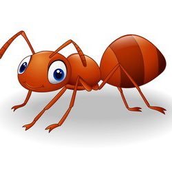 KST_Khan's profile picture. 