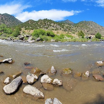 TechTronix4484's profile picture. 