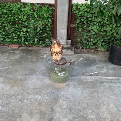 財閥デベ→損保出身の不動産屋。相続がきっかけで不動産賃貸業開始。不動産投資は投資ではなく、事業という考えです。投資として株式投資開始しました。日本の未来を真剣に考えます。