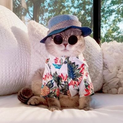 g4butberfaedah's profile picture. ni akun buat belajar di dunia IT kak