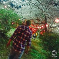 悠 (@kv1ueg) 's Twitter Profile