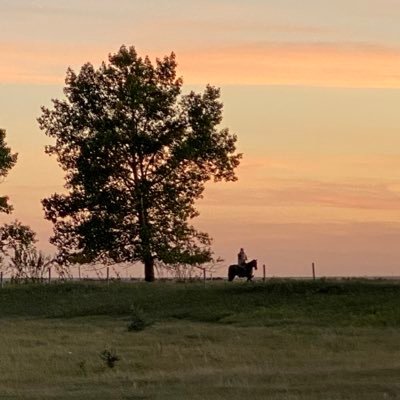 Daytime- Practicing Agrologist for the Special Areas Board Rest of the Time- Faith, Family and Fun