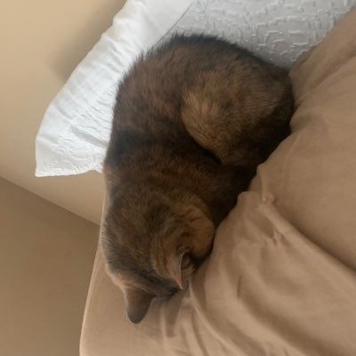 ktshrll's profile picture. intrusive thoughts thread