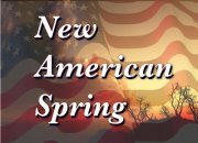 Volunteer Project to Facilitate a New American Spring to Restore Democracy, Justice, Equality, Fairness, Prosperity and Freedom