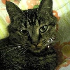 ja3ck6's profile picture. インドア派ですが今週から始まる6週間の週末だけアウトドア派。この為に1年間頑張って生きてる。2025年函館競馬全力で楽しむぞ‼️推しは酒井学、幸英明、北村友一の3騎手。永遠の推しは加藤和宏元騎手。函館で走るお馬さんみんな応援。ガンバレ✊‼️

2025.6.13