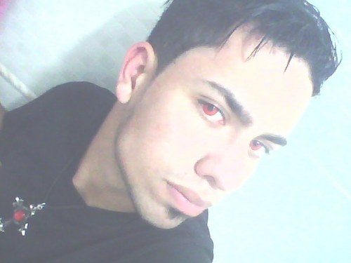 Morcego voa, voa, voa...