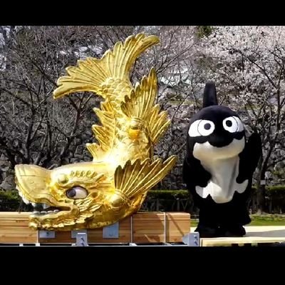 ノーザンクロスさんのプロフィール画像