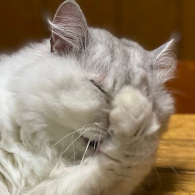 YoshikoNakagaw8's profile picture. 京都市交響楽団副首席フルート奏者   2ねこと旦那　娘現在他県で修行中
