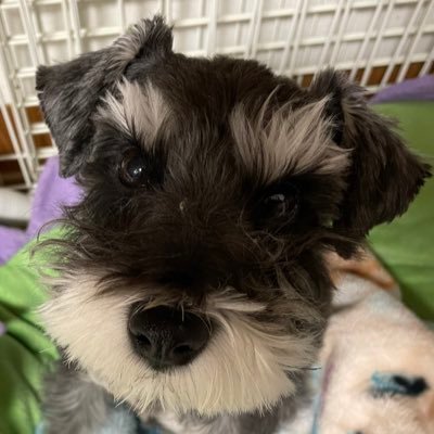 kiko27282930's profile picture. 