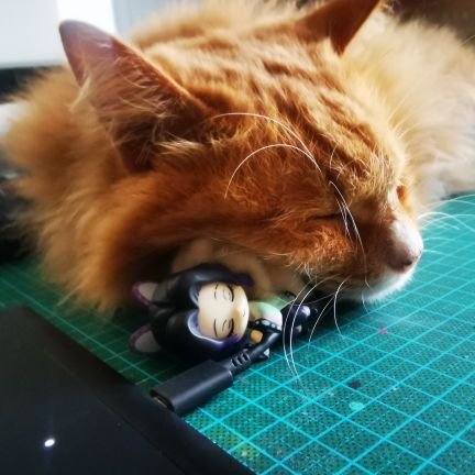 kkss61910985's profile picture. Nothing