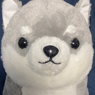ハスキー犬さんのプロフィール画像