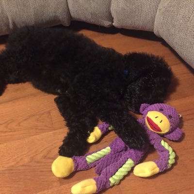 CashvilleTrades's profile picture. Day/Swing Trader… Father, Hustler and just all around Amazing….