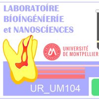 LBN UR UM 104 (@umlbn) 's Twitter Profile Photo