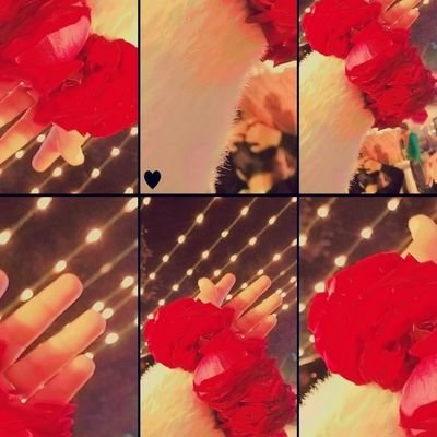 syeda_hamdanii's profile picture. NEVER FALL IN LOVE.....☺️