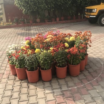 NeeruJindal13's profile picture. 