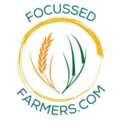 Focussed Farmers (Holly Beckett)
