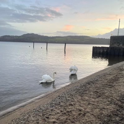 Passionate about quality improvement in healthcare . ScIL cohort 17 and Q member. All views my own , re tweets not endorsements