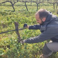 Jesús Rodrigo-Comino (@geo_jrc) 's Twitter Profile