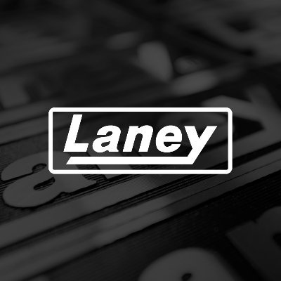 Laney Amplification International Sales Manager North America, Europe, Africa, Middle & South East Asia
