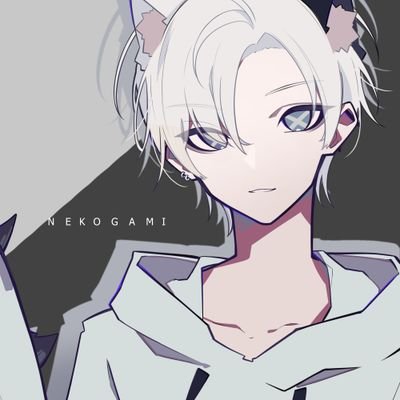 🐈Nekogami24🐉さんのプロフィール画像