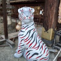 かい (@nrt8wbibwyv4zwn) 's Twitter Profile
