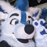 Winter Sunwolf (@sunwolf_winter) 's Twitter Profile