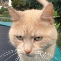 Florian (@flokoi_99) Twitter profile photo