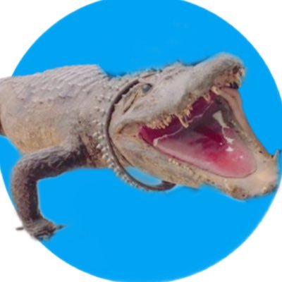 shiratama__66's profile picture. 室田瑞希ちゃん🐊川名凜ちゃん🐸アンジュルムBIGLOVE🌎すあだがむっちゃ好き