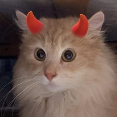 Sonikさんのプロフィール画像