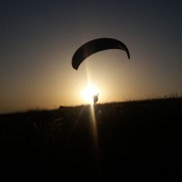 Чедо (@cedov_cedomir) 's Twitter Profile